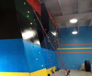 Gym Climbing Wall